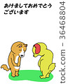 Inu 3 36468804