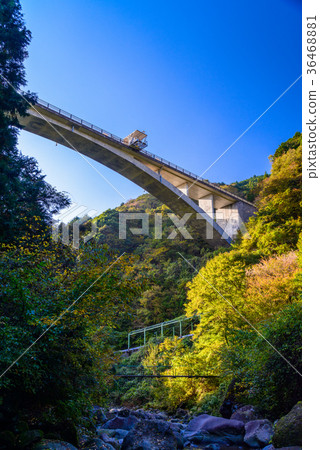 [靜岡縣]鈴祖河谷秋葉鈴祖谷橋 36468881