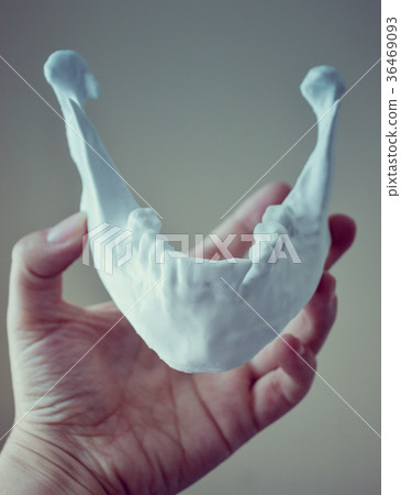A girl holds a mandible printed on a 3d printer on 36469093