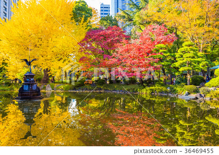 東京日比谷公園秋天 雲池 照片素材 圖片 圖庫