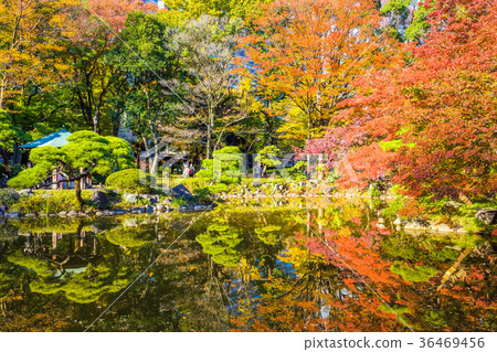 東京日比谷公園秋天 雲池 照片素材 圖片 圖庫