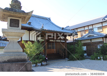 春日神社/奈良縣奈良市今市 春日神社/奈良縣奈良市今市 36469804