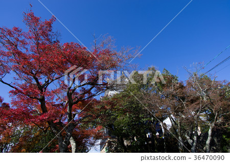 岐阜城堡 岐阜城堡 36470090