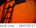 橙色牆壁和梯子 36470537