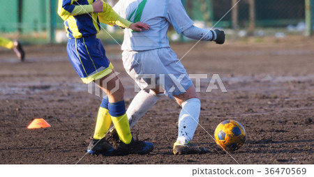 足球足球 36470569