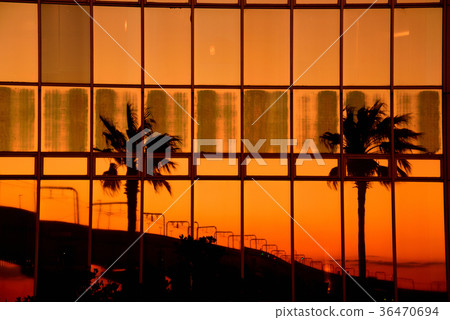 <Sunset> Rinku beach Tokoname 36470694