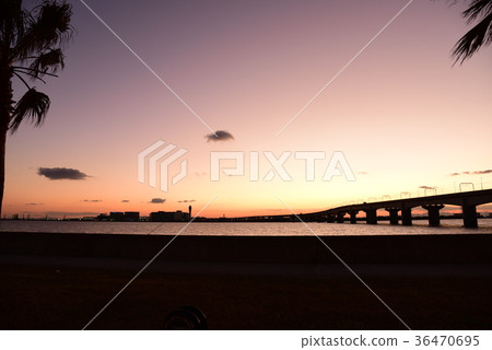 <Sunset> Rinku beach Tokoname <Sunset> Rinku beach Tokoname 36470695