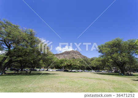Kapiolani Park and Diamond Head 36471252