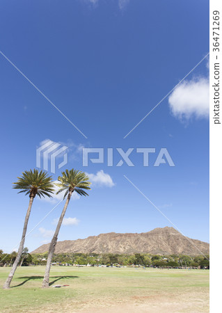 卡皮歐拉尼公園和鑽石頭 卡皮歐拉尼公園和鑽石頭 36471269