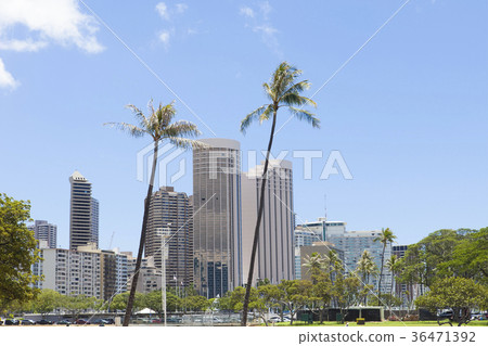Ala Moana Beach Park Ala Moana Beach Park 36471392