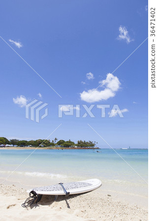 夏威夷阿拉莫阿納海灘 36471402