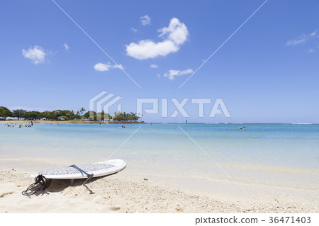 夏威夷阿拉莫阿納海灘 36471403
