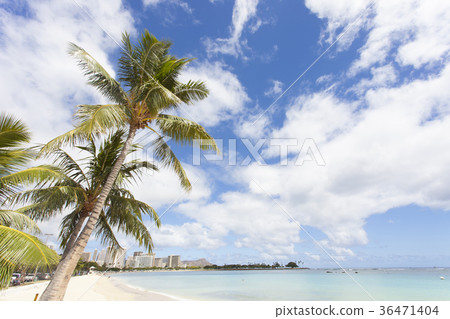 Hawaii Ala Moana Beach Hawaii Ala Moana Beach 36471404