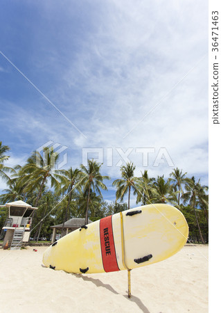 Waikiki Beach 36471463