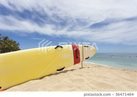 Waikiki Beach Waikiki Beach 36471464