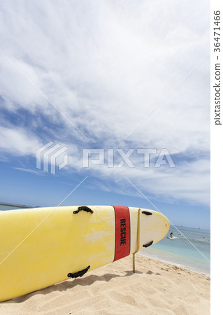 Waikiki Beach 36471466