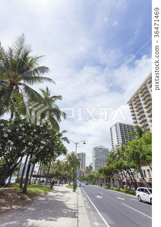 Waikiki Kalakaua Avenue 36471469