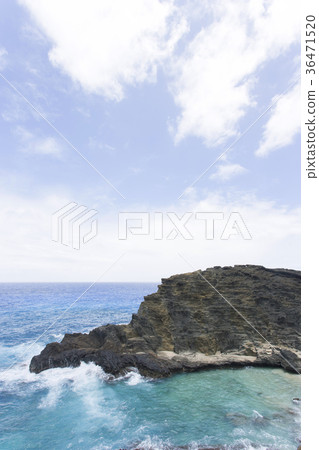 Hawaii Halona Beach Cove Hawaii Halona Beach Cove 36471520