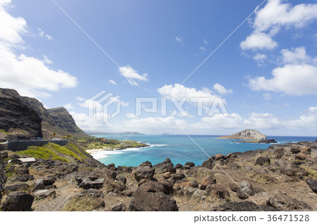 Hawaii Makapuu Hawaii Makapuu 36471528