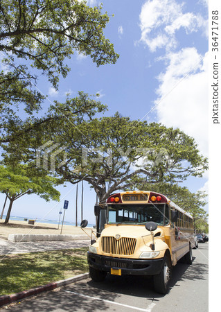 夏威夷阿拉莫阿納校車 夏威夷阿拉莫阿納校車 36471788