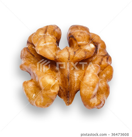 Walnut peeled isolated on white background Walnut peeled isolated on white background 36473608