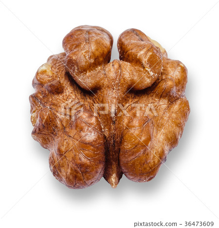 Walnut peeled isolated on white background Walnut peeled isolated on white background 36473609