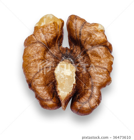 Walnut peeled isolated on white background Walnut peeled isolated on white background 36473610