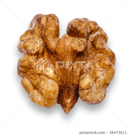 Walnut peeled isolated on white background Walnut peeled isolated on white background 36473611