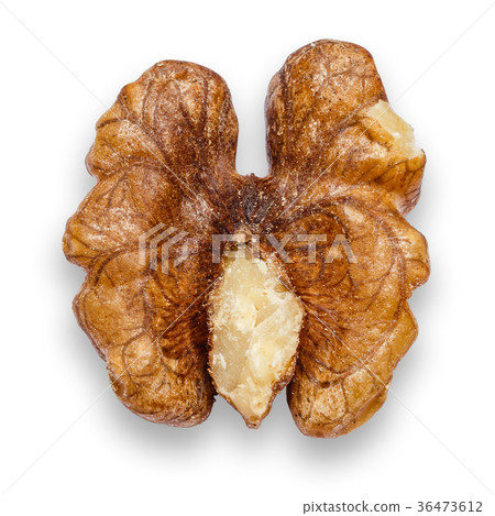 Walnut peeled isolated on white background Walnut peeled isolated on white background 36473612