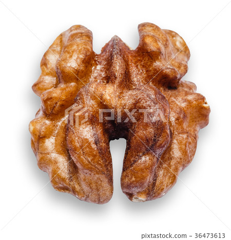 Walnut peeled isolated on white background 36473613
