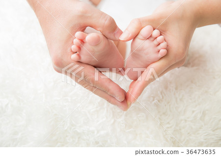 夫婦手和嬰孩腳 夫婦手和嬰孩腳 36473635