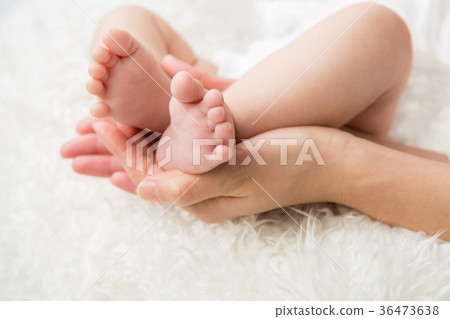 Baby's foot and mother's hand Baby's foot and mother's hand 36473638