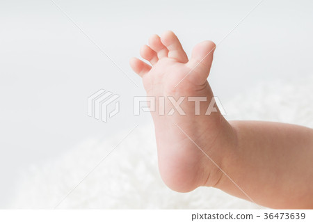 Baby's foot Baby's foot 36473639