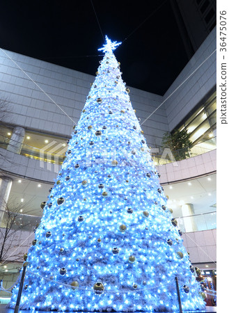 Christmas tree  36475076