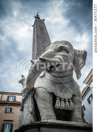 Elephant and Obelisk in Piazza della Minerva, Rome 36475377