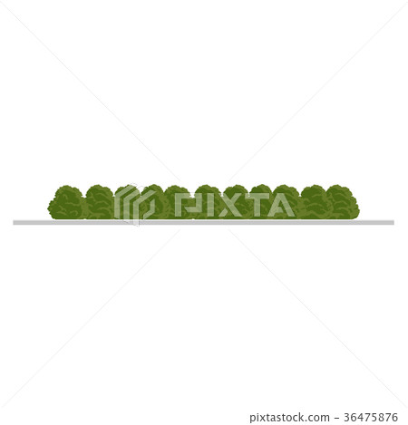 Set of city tree, bush, hedge decoration elements 36475876