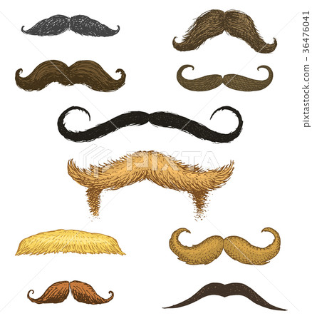 Set of mustache and funny beard of men, hipster 36476041