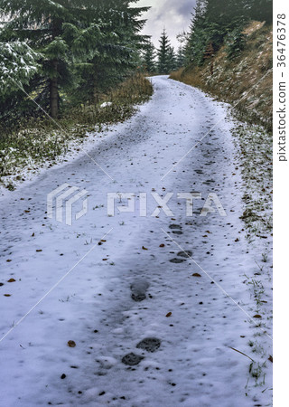 Path with traces Path with traces 36476378