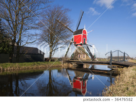 Windmill the Rooie Wip 36476582