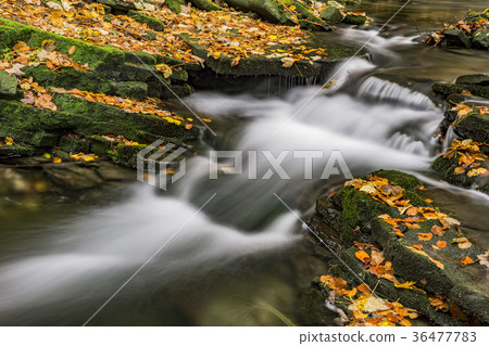View of autumn waterfalls View of autumn waterfalls 36477783