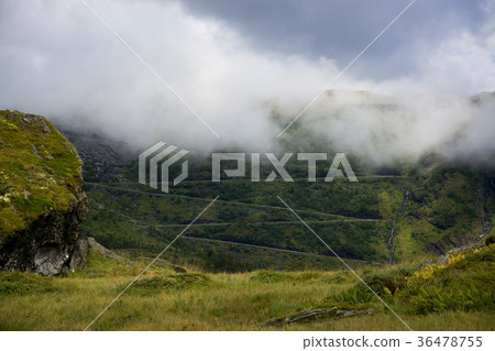 Vikafjell, Hordaland, Norway 36478755