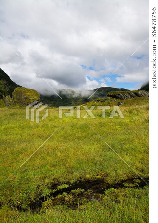 Vikafjell, Hordaland, Norway 36478756