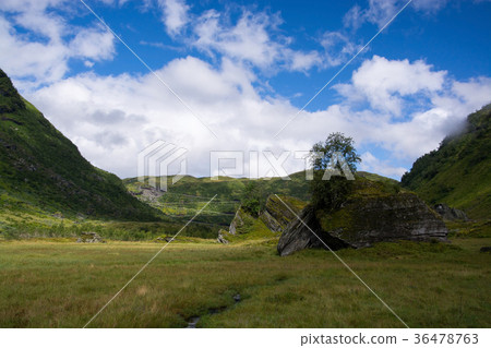 Vikafjell, Hordaland, Norway 36478763