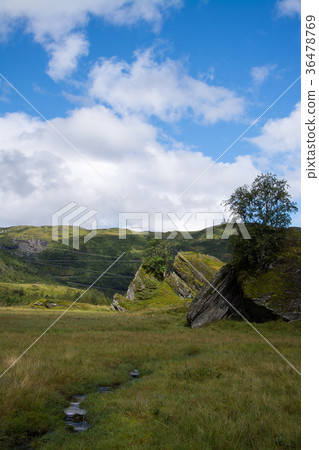 Vikafjell, Hordaland, Norway 36478769