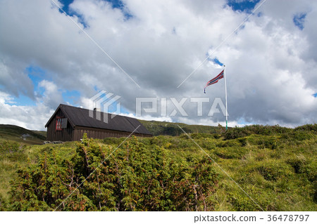 Vikafjell, Hordaland, Norway 36478797