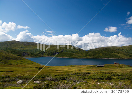 Vikafjell, Hordaland, Norway 36478799