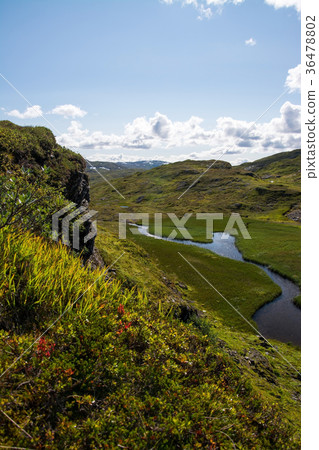 Vikafjell, Hordaland, Norway 36478802