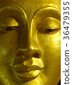 Face Buddha Close-up 36479355