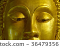 Face Buddha Close-up 36479356