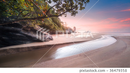 Tropical beach at sunrise 36479358